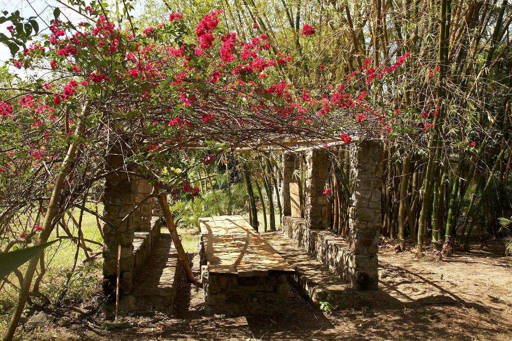 Laborie Balenbouche Estate 빌라 외부 사진